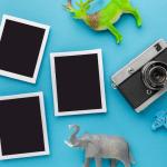 Picture Frames and Photo Albums